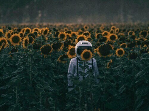Archillect ID 201681
