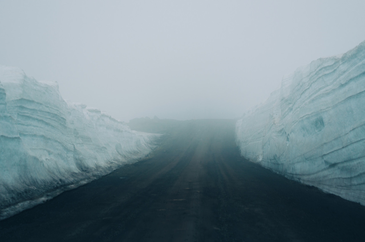 Archillect ID 202276