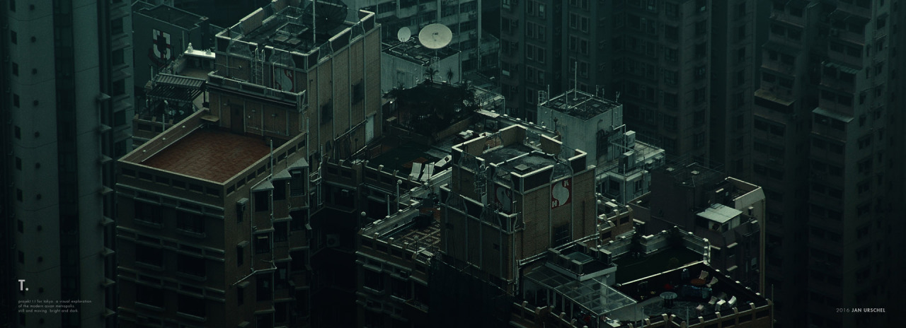 Archillect ID 202336