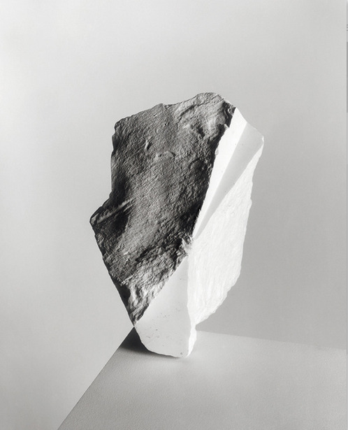 Archillect ID 202435