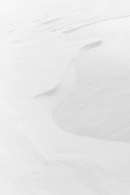 Archillect ID 202589