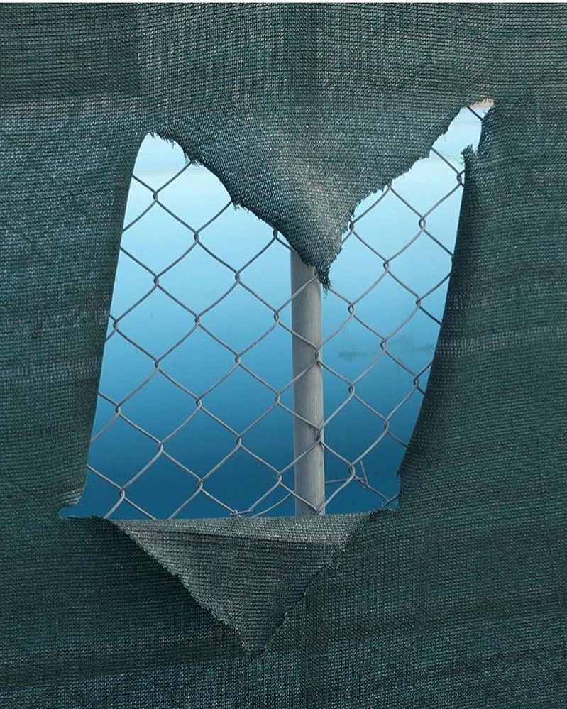Archillect ID 202592