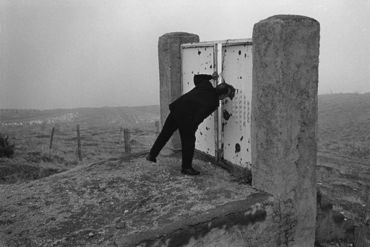 Archillect ID 202994