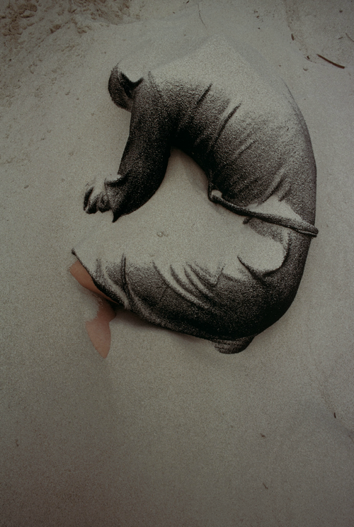 Archillect ID 203177