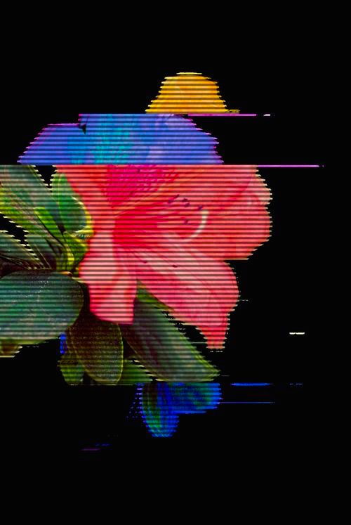 Archillect ID 203190