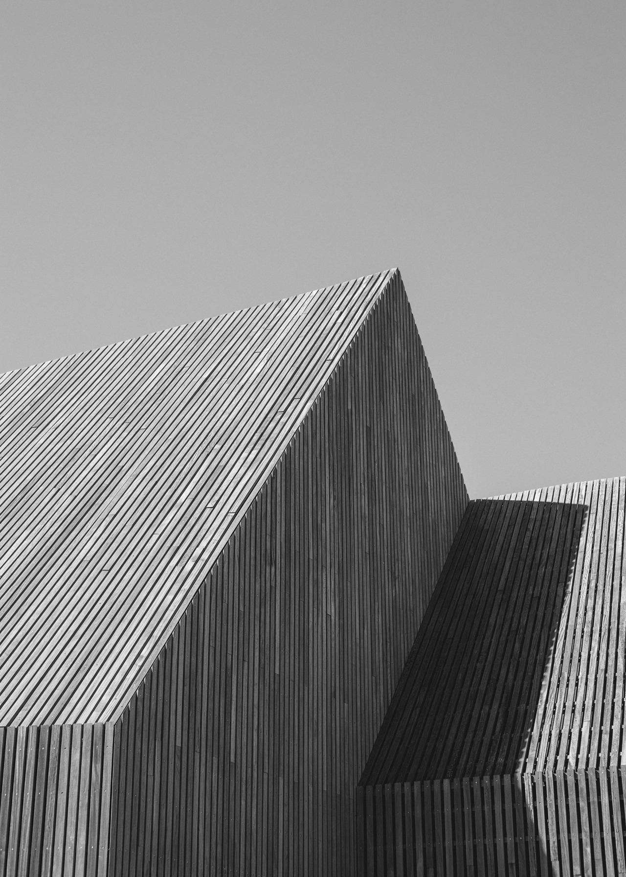 Archillect ID 203237