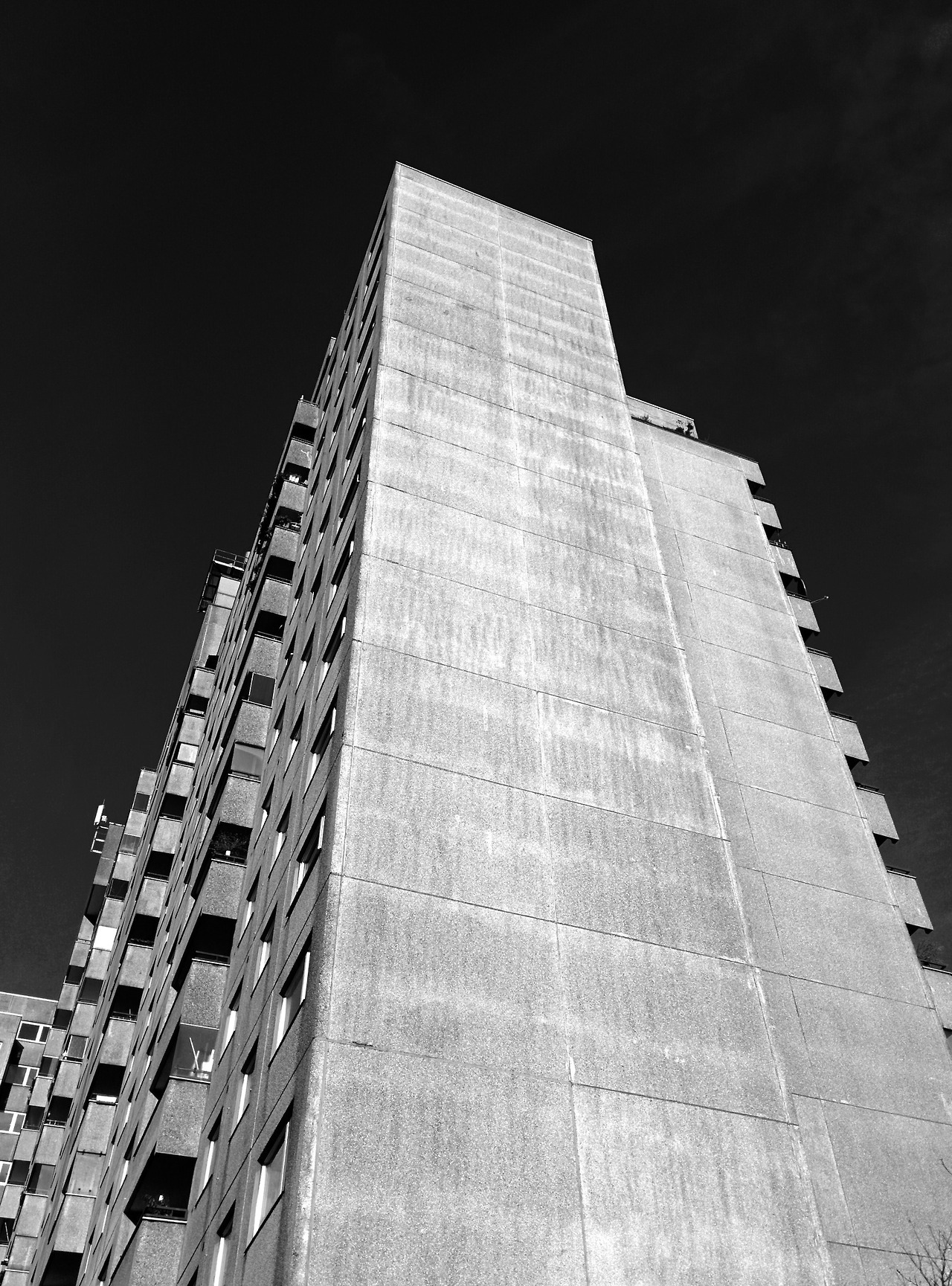 Archillect ID 203343