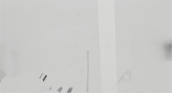 Archillect ID 203446