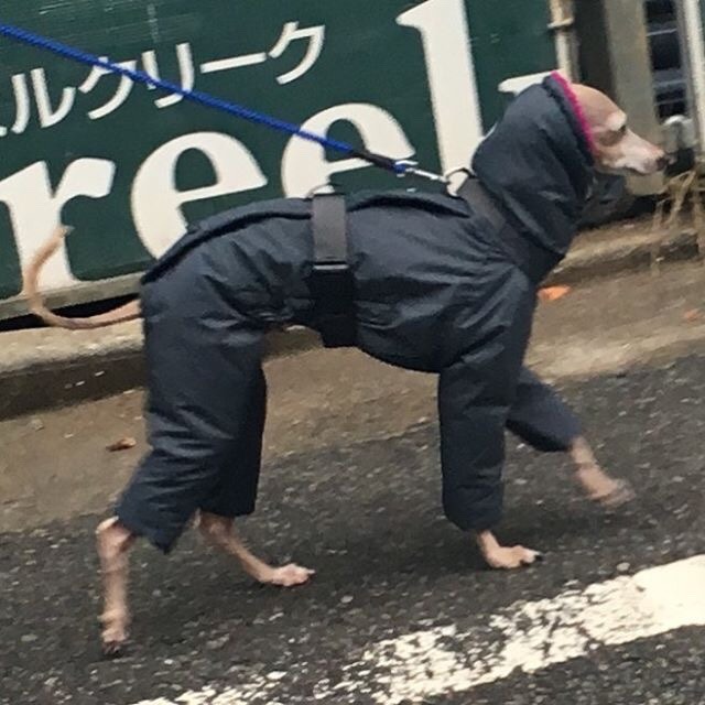 Archillect ID 203640