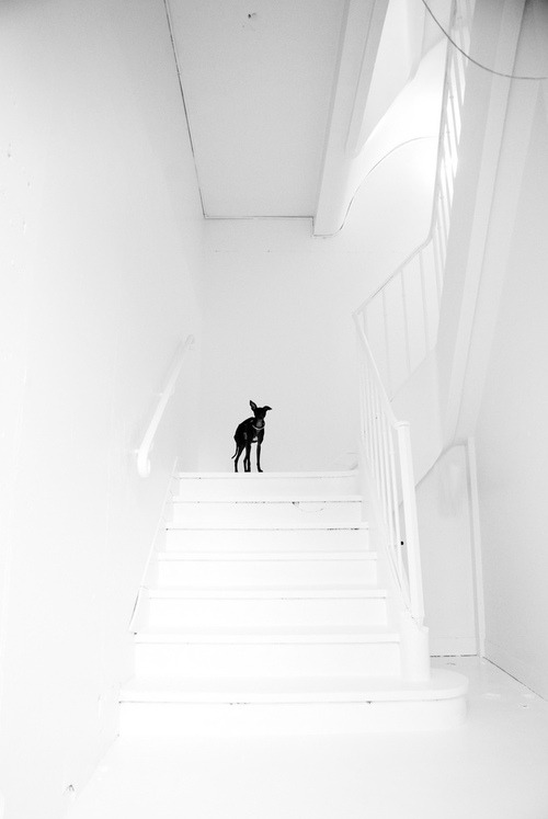 Archillect ID 203880