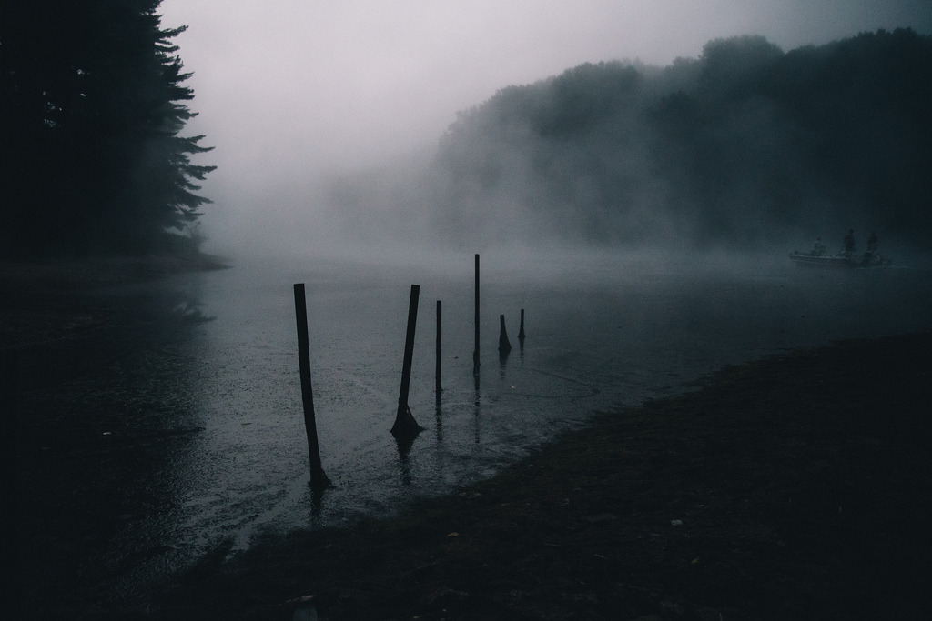 Archillect ID 204021