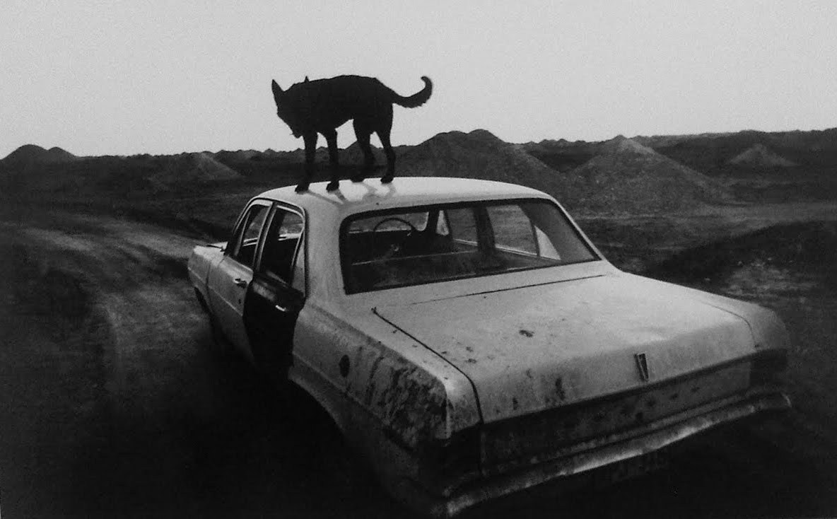 Archillect ID 204028