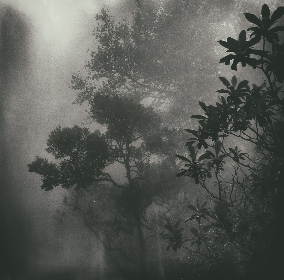 Archillect ID 204190