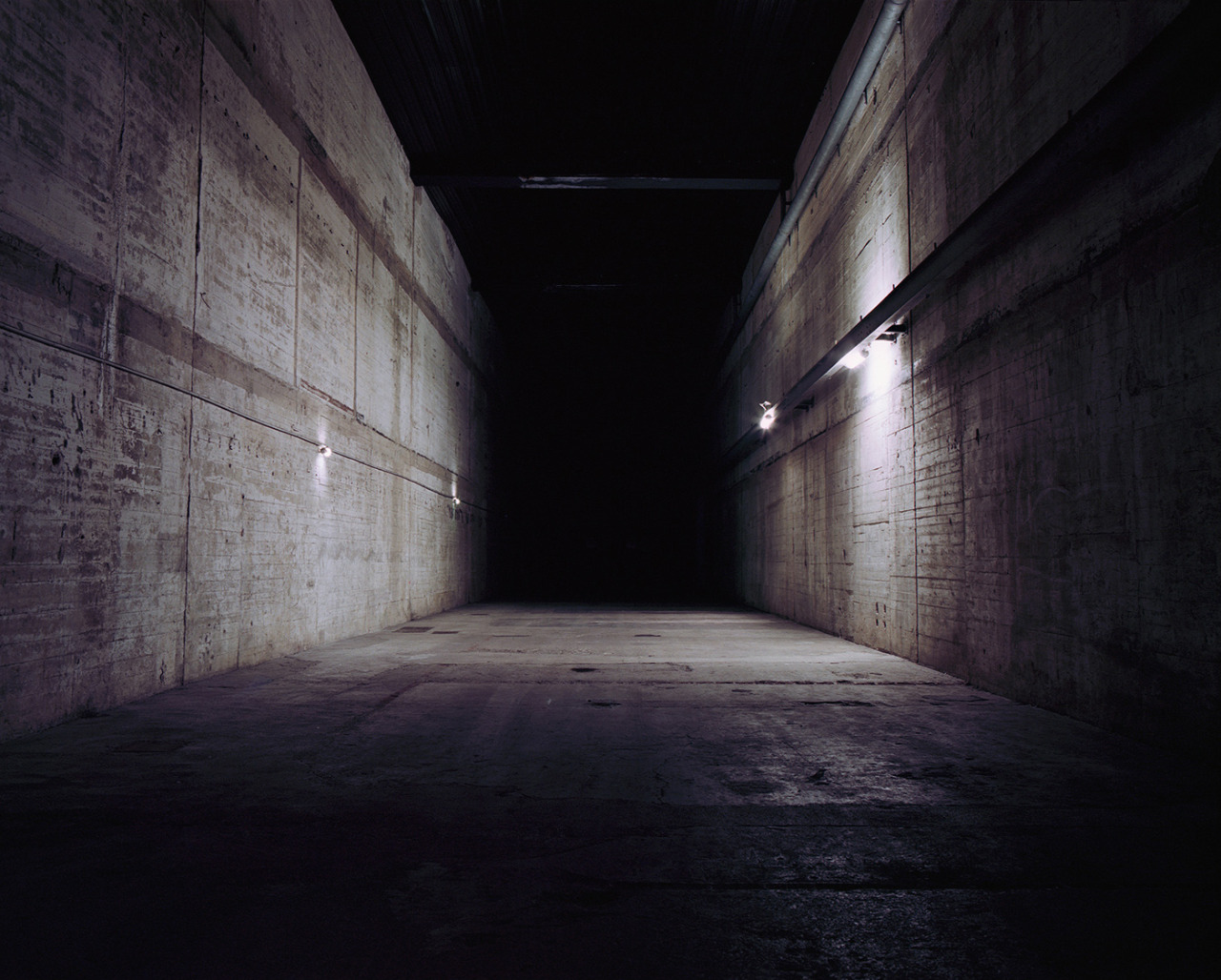 Archillect ID 204228