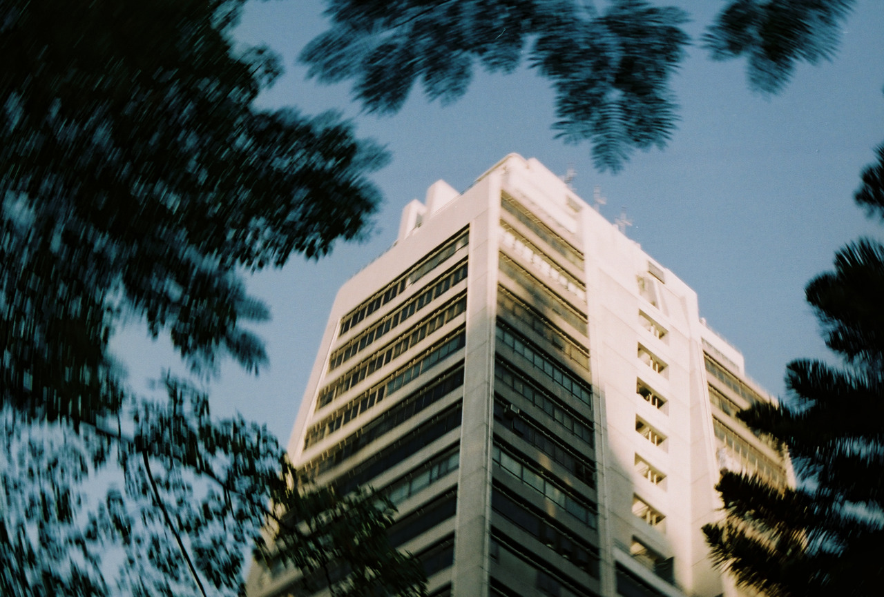 Archillect ID 204241