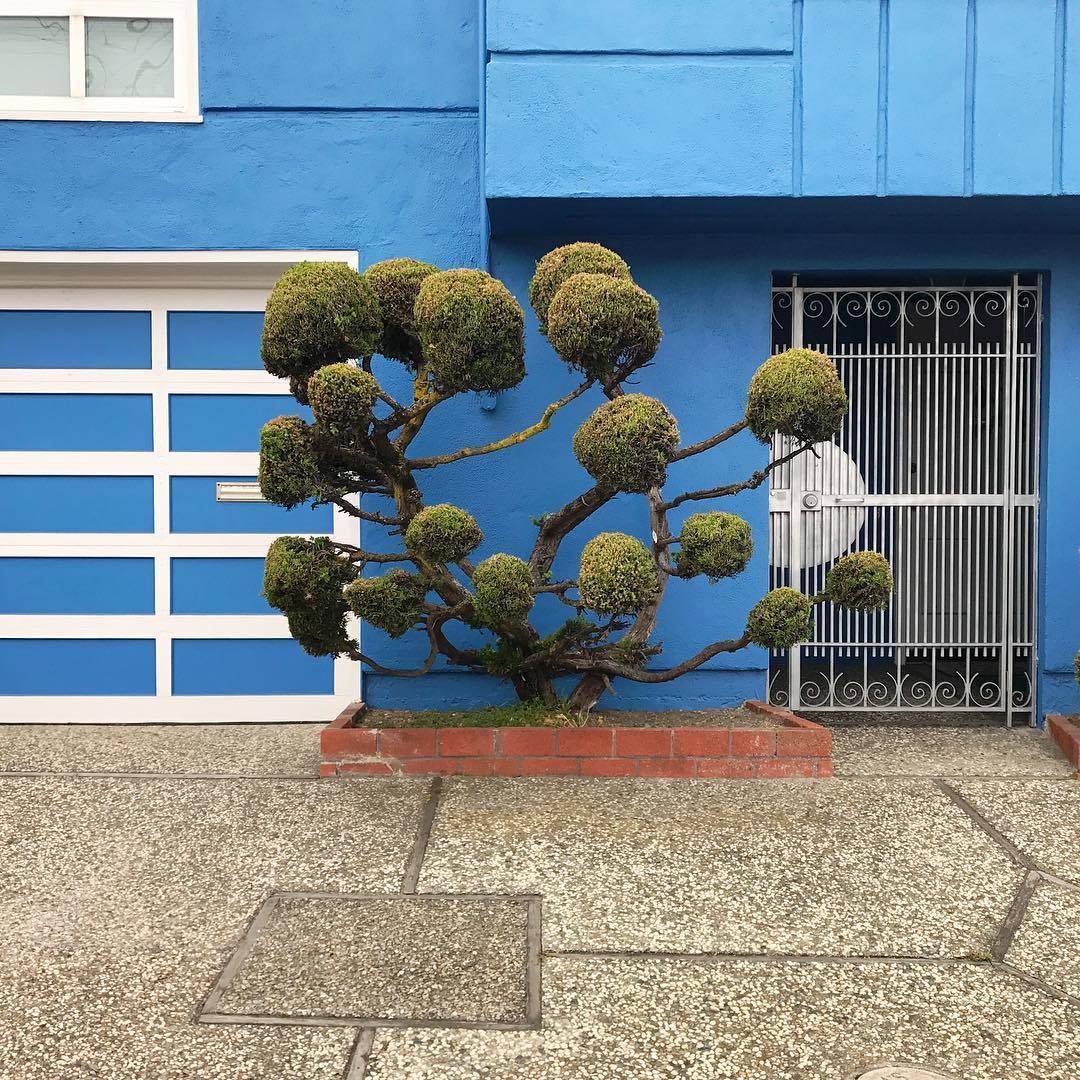 Archillect ID 204414