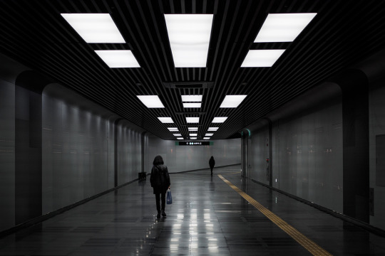 Archillect ID 204427