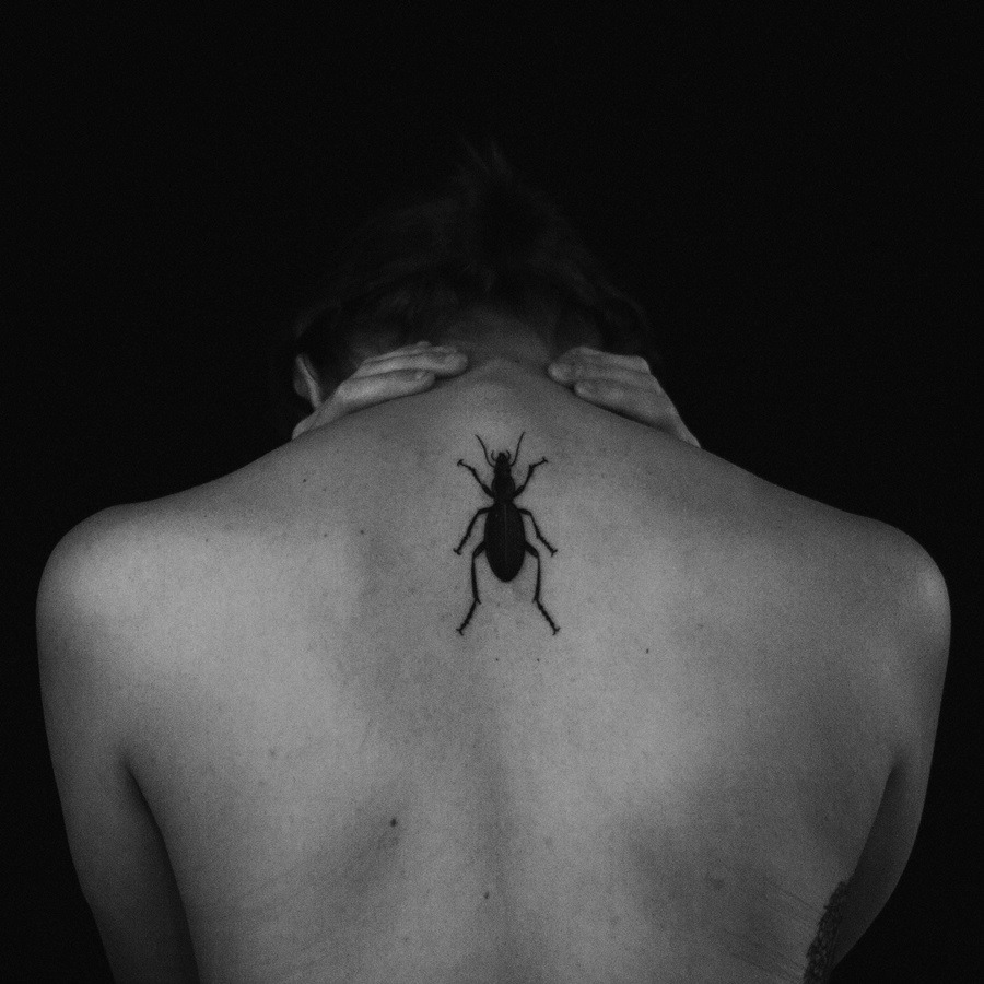 Archillect ID 204480