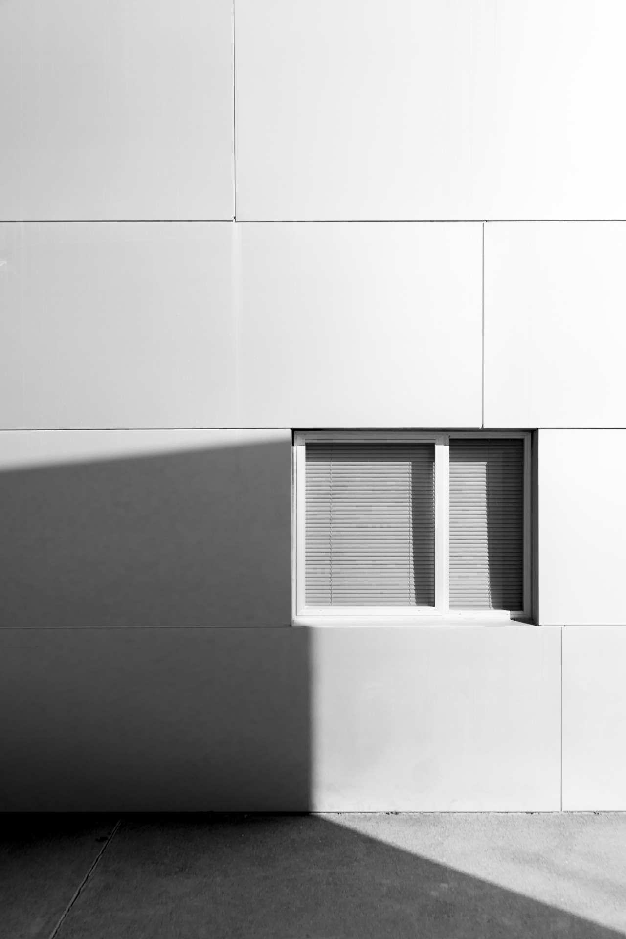 Archillect ID 204504