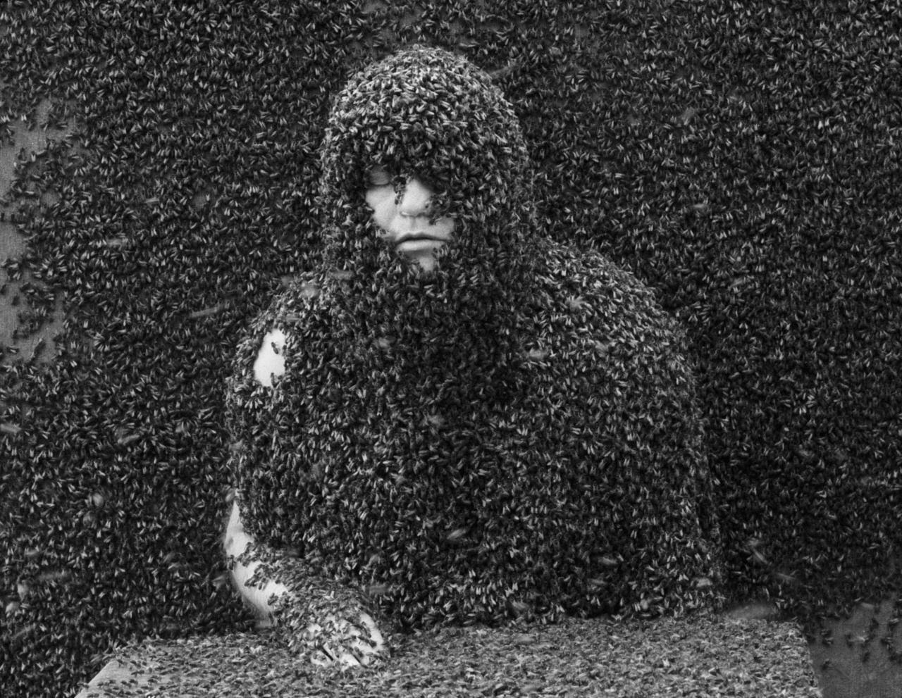 Archillect ID 204613
