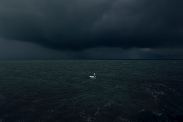 Archillect ID 204895