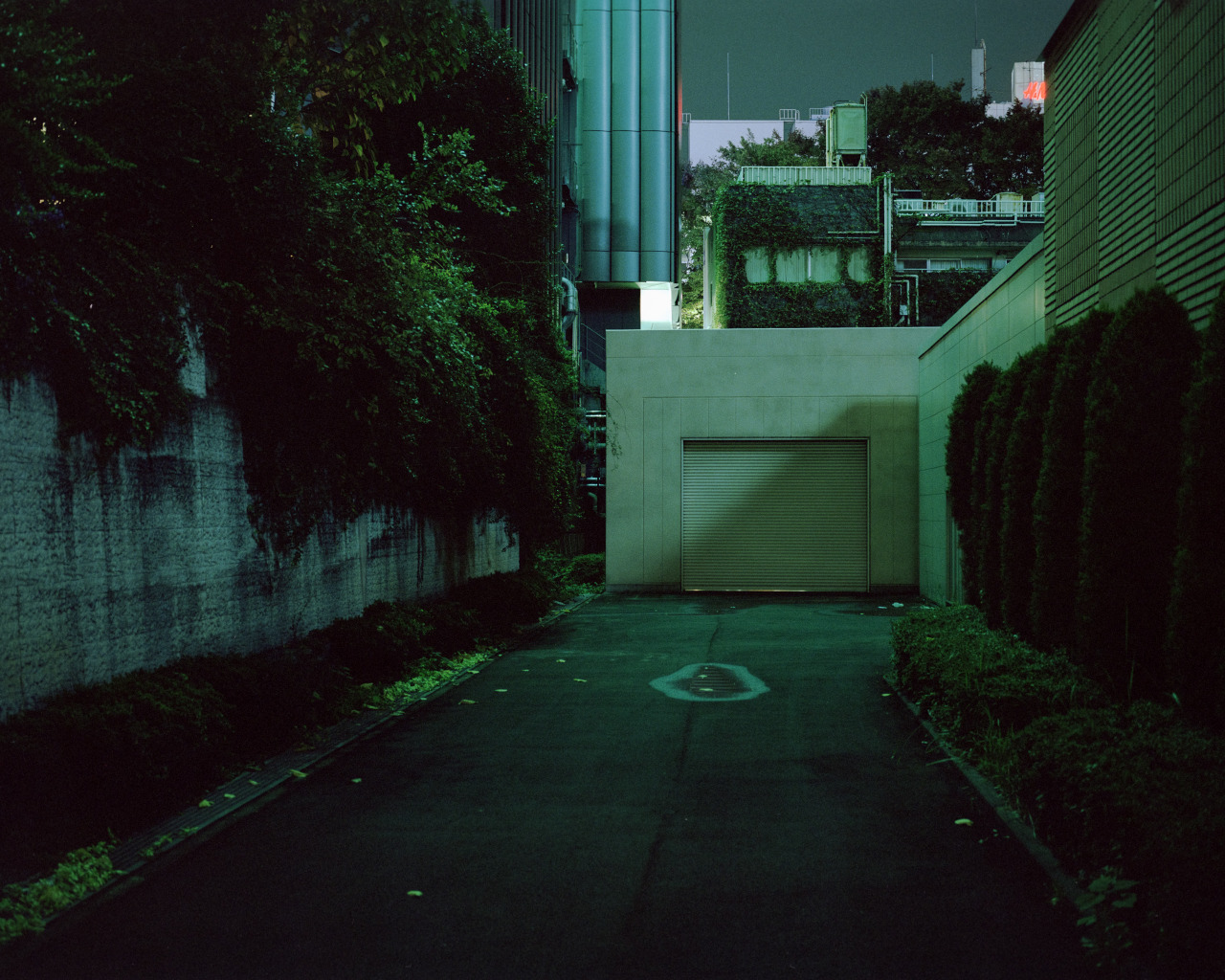 Archillect ID 204900