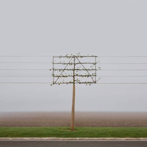 Archillect ID 204951