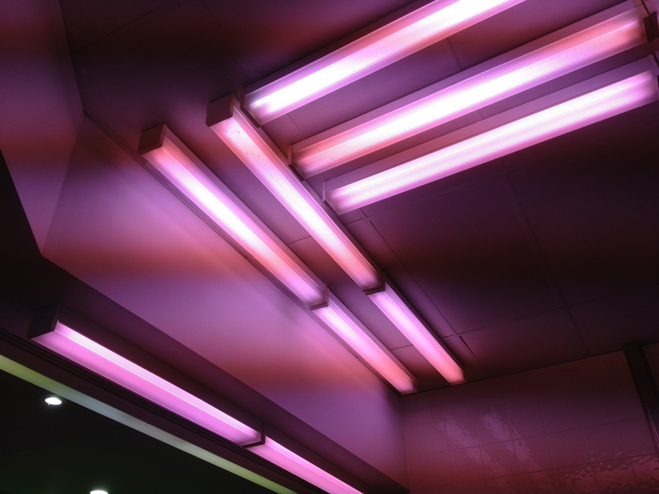 Archillect ID 205708