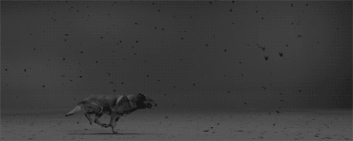 Archillect ID 205728
