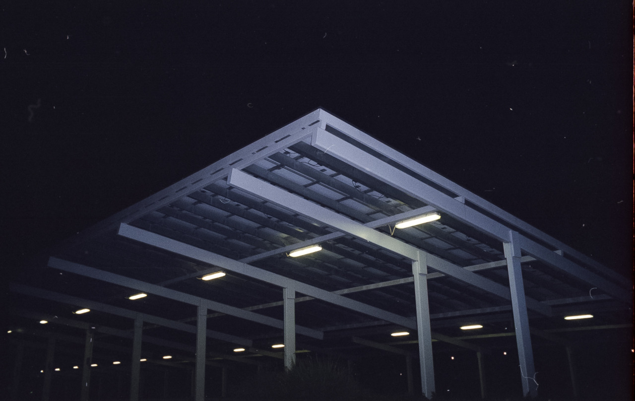 Archillect ID 206260