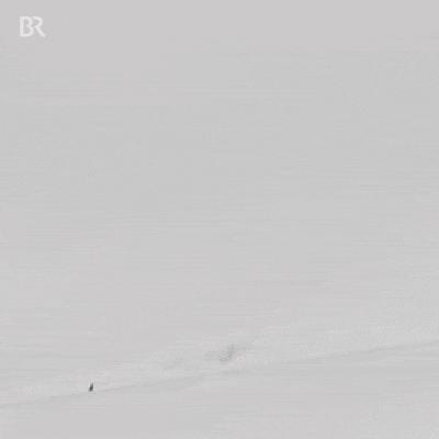 Archillect ID 206436