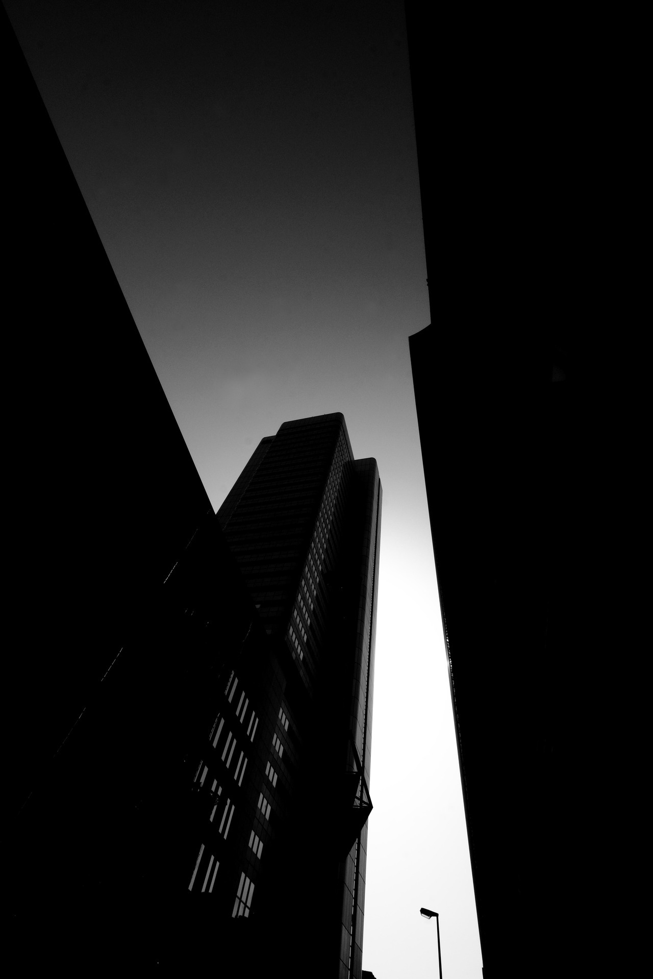 Archillect ID 206795
