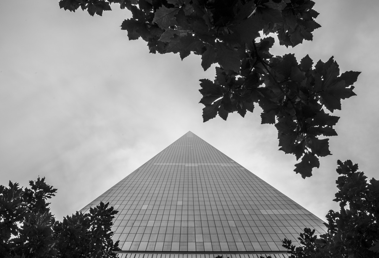 Archillect ID 207037