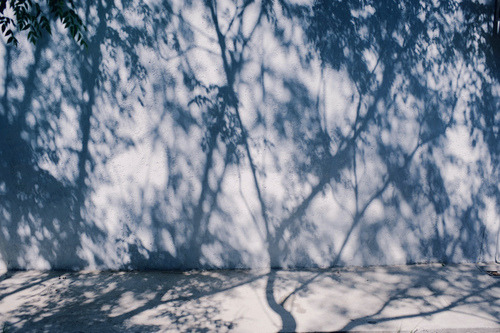 Archillect ID 207095