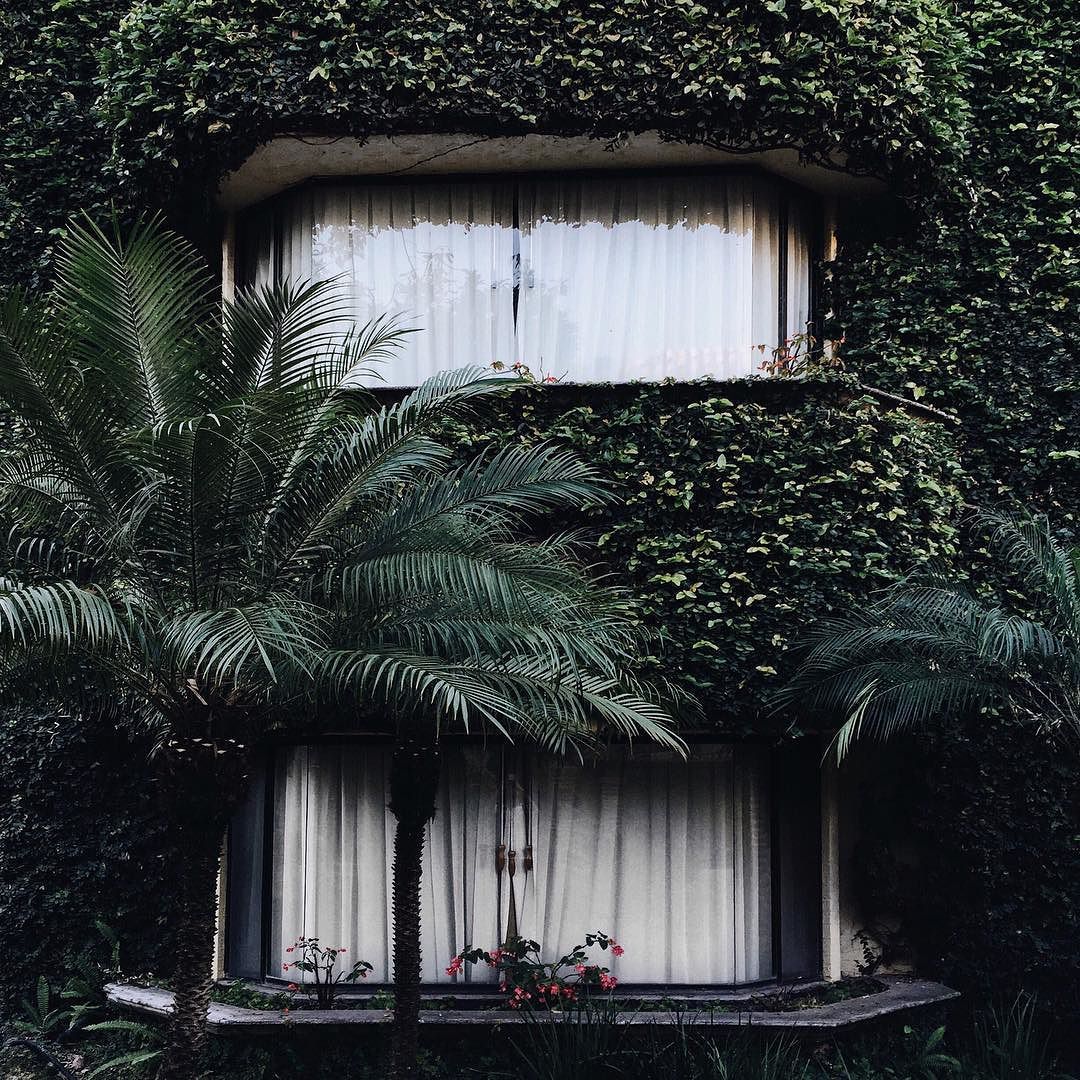 Archillect ID 207362