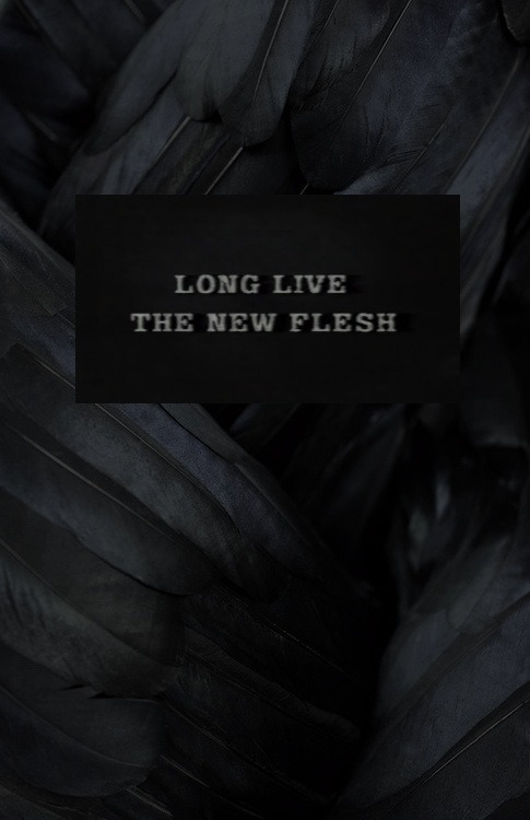 Archillect ID 207456