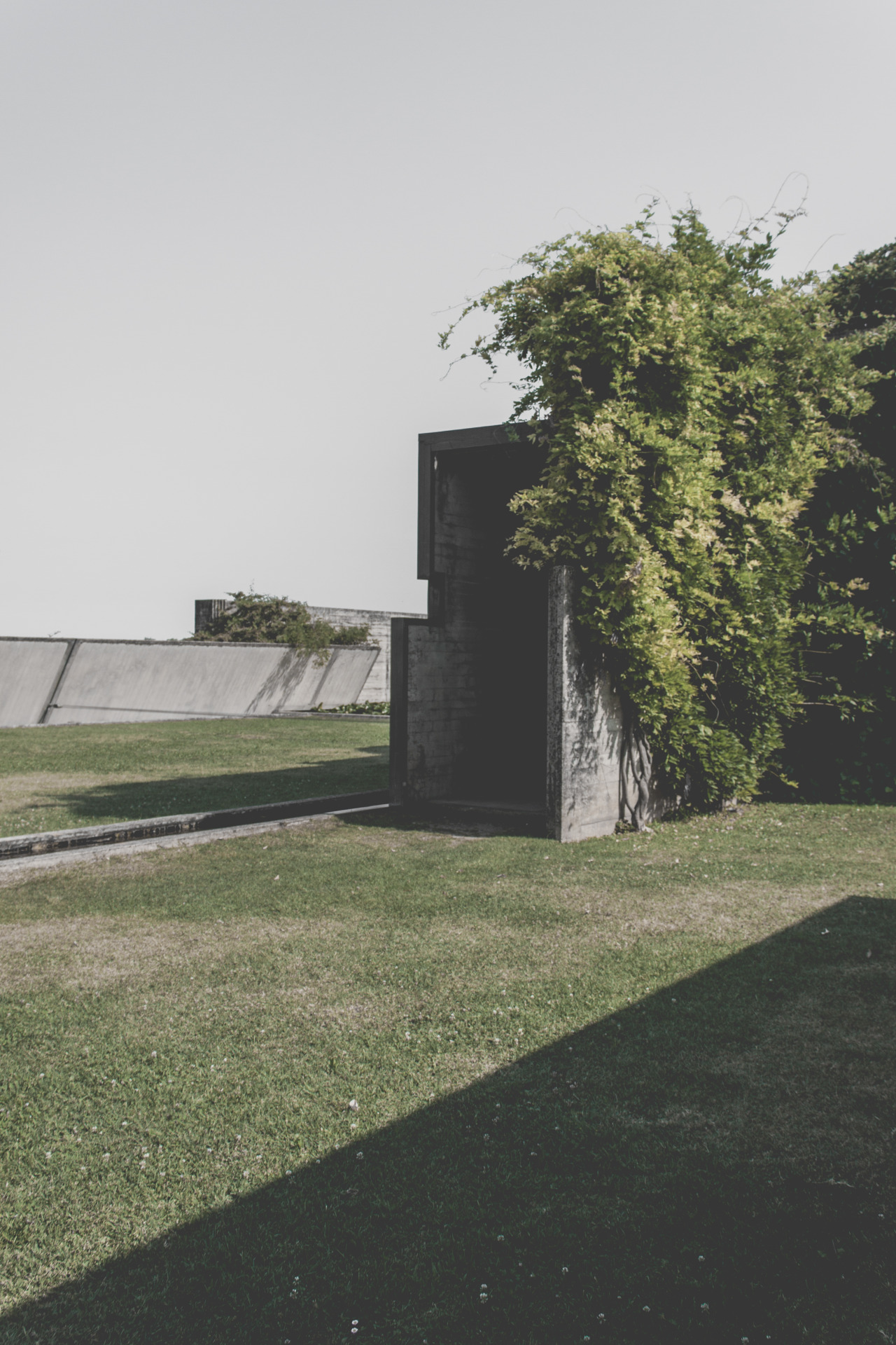 Archillect ID 207517