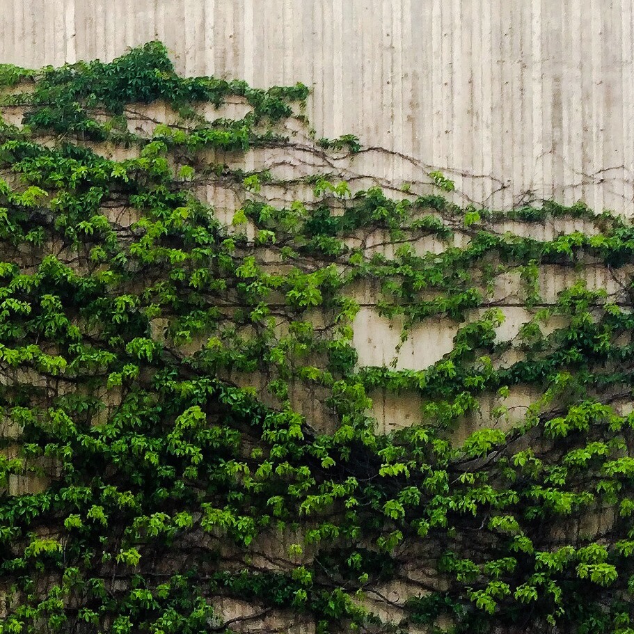 Archillect ID 207581