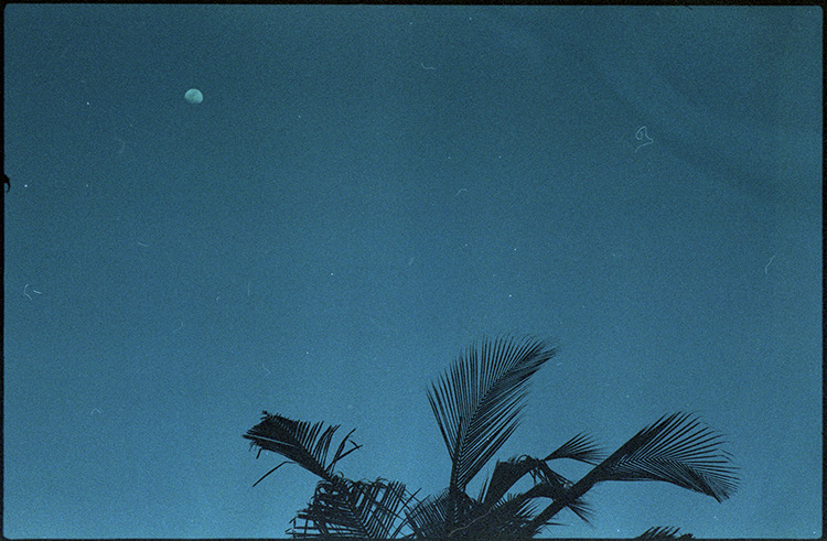 Archillect ID 207606