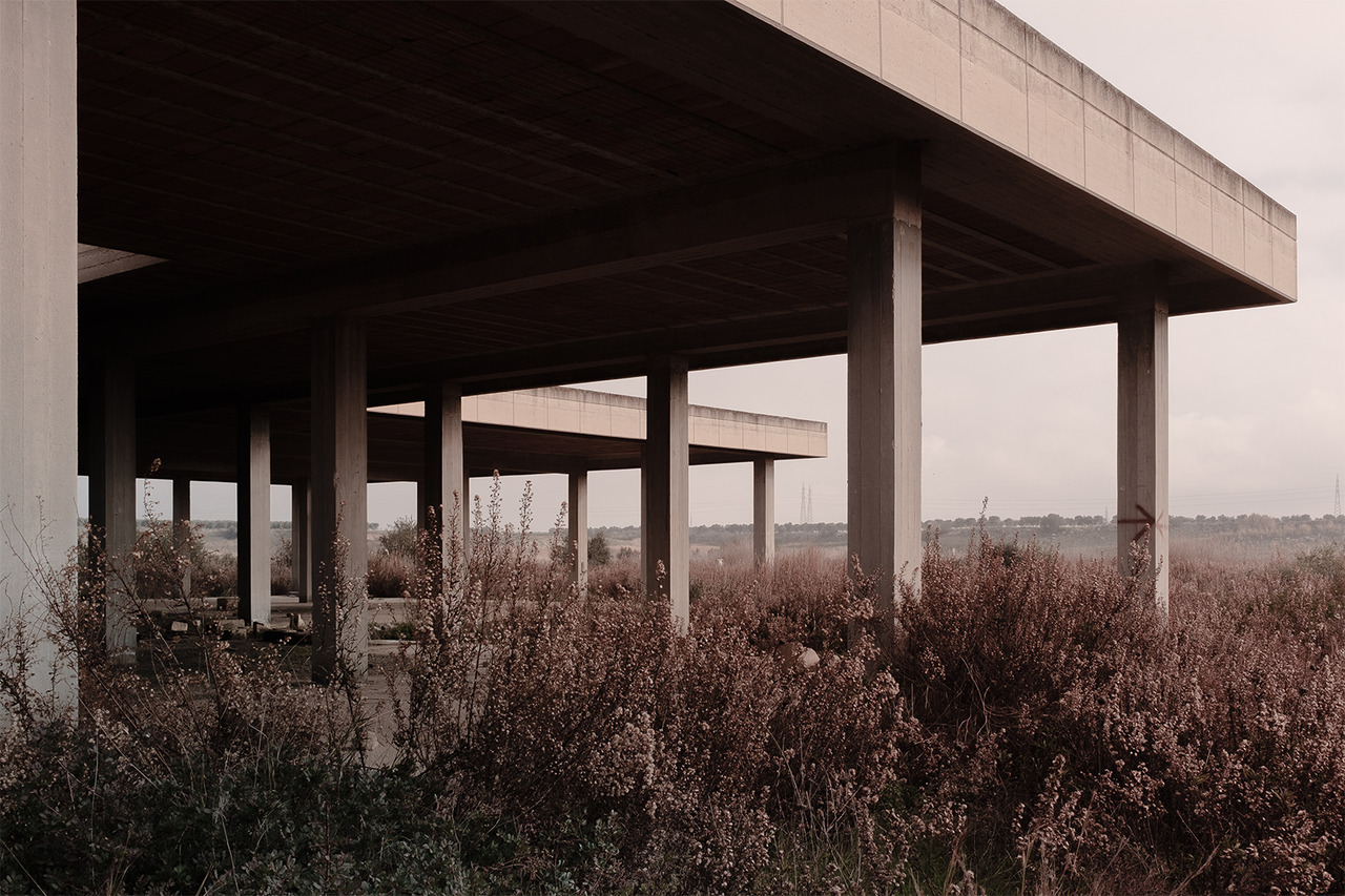 Archillect ID 208178