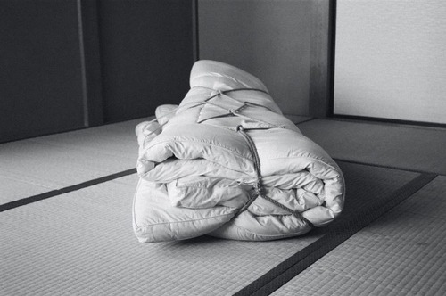 Archillect ID 208536