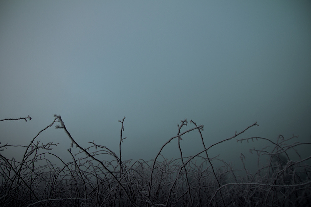 Archillect ID 208982