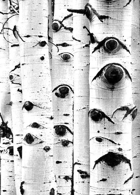 Archillect ID 209098