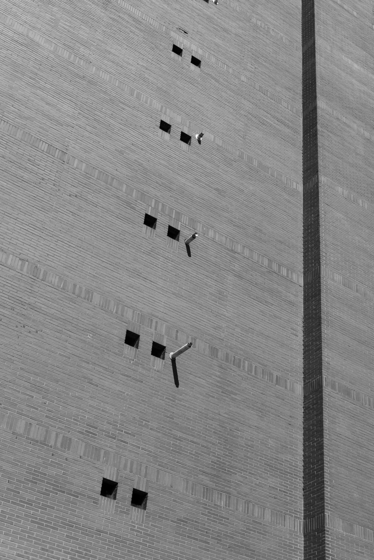 Archillect ID 209135