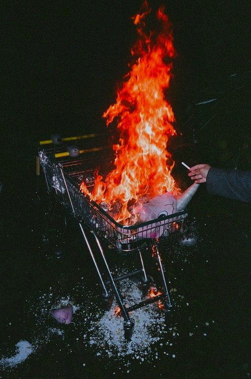 Archillect ID 209223