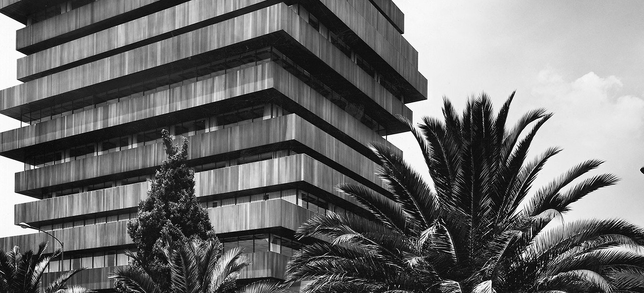Archillect ID 209328