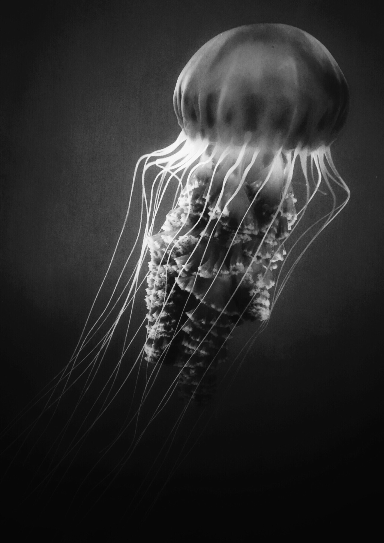 Archillect ID 209414
