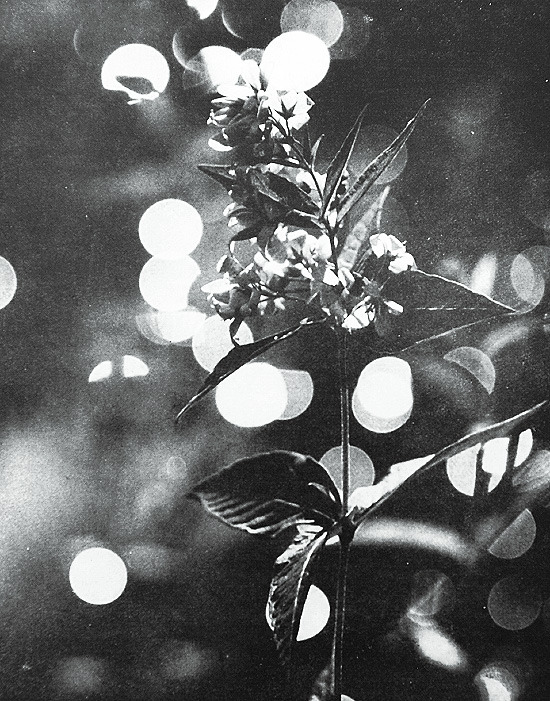 Archillect ID 209417