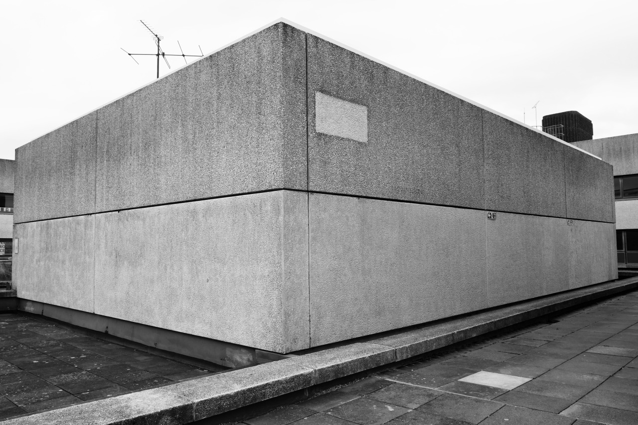 Archillect ID 209423