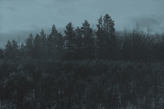 Archillect ID 209475